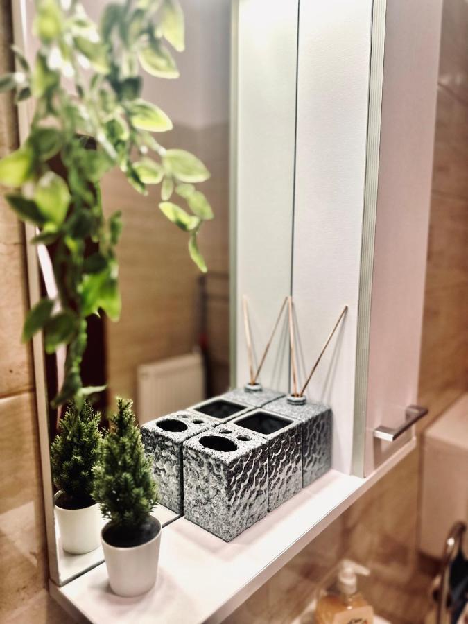 Stay Inn Central 브라쇼브 외부 사진