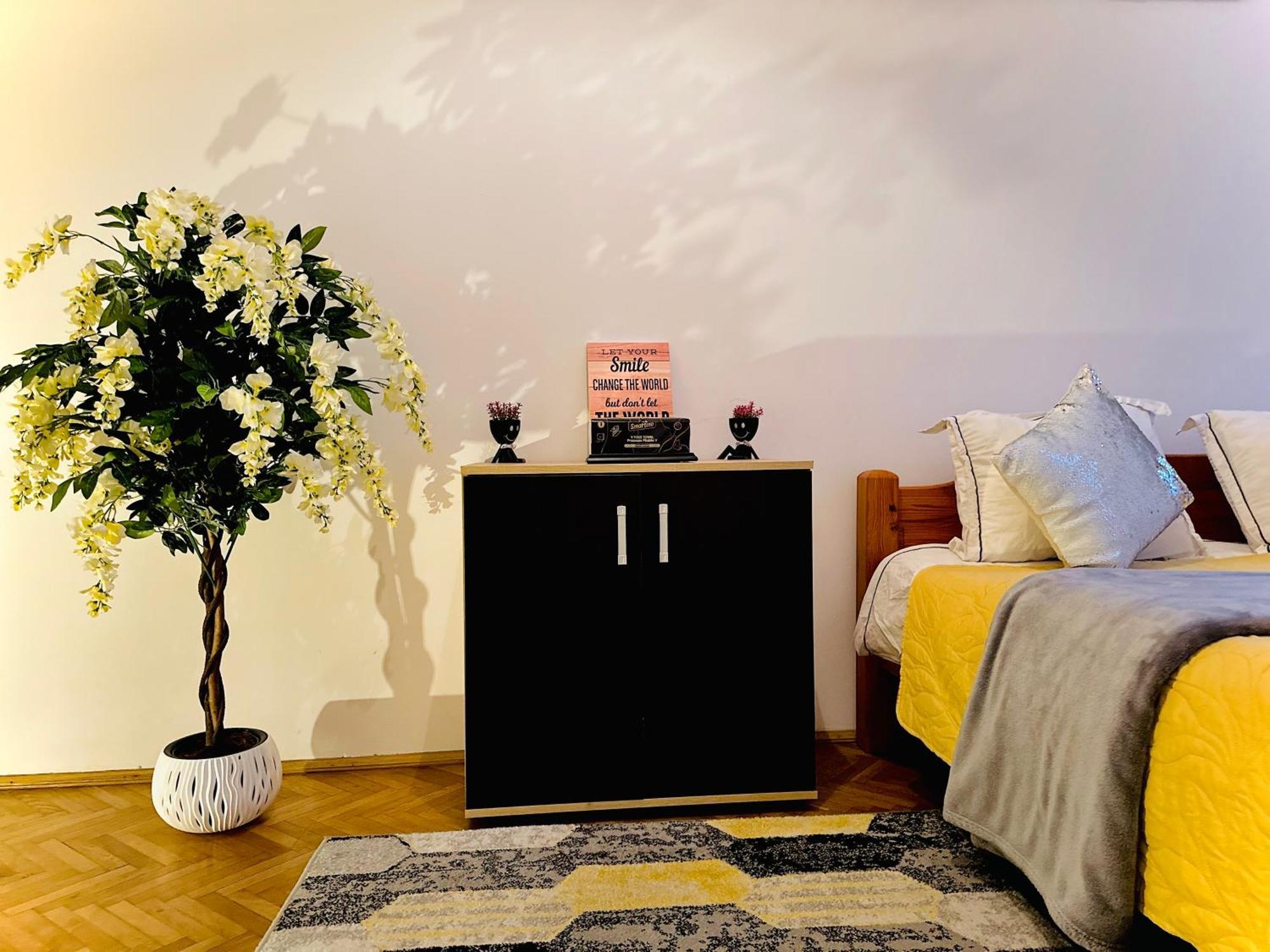 Stay Inn Central 브라쇼브 외부 사진